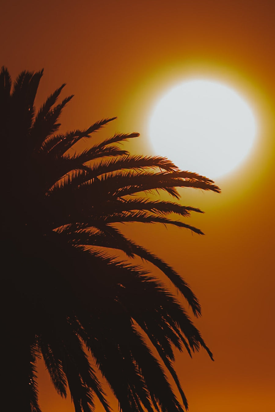 Golden Hour