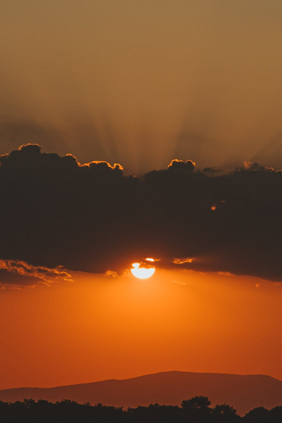Last Light