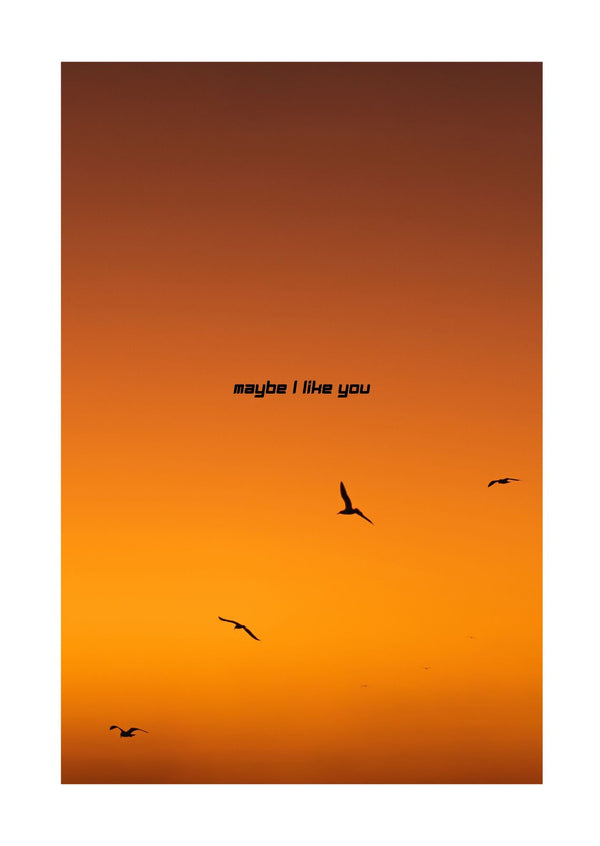 Maybe I Like You - Text Edition