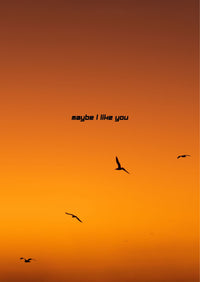 Maybe I Like You - Text Edition